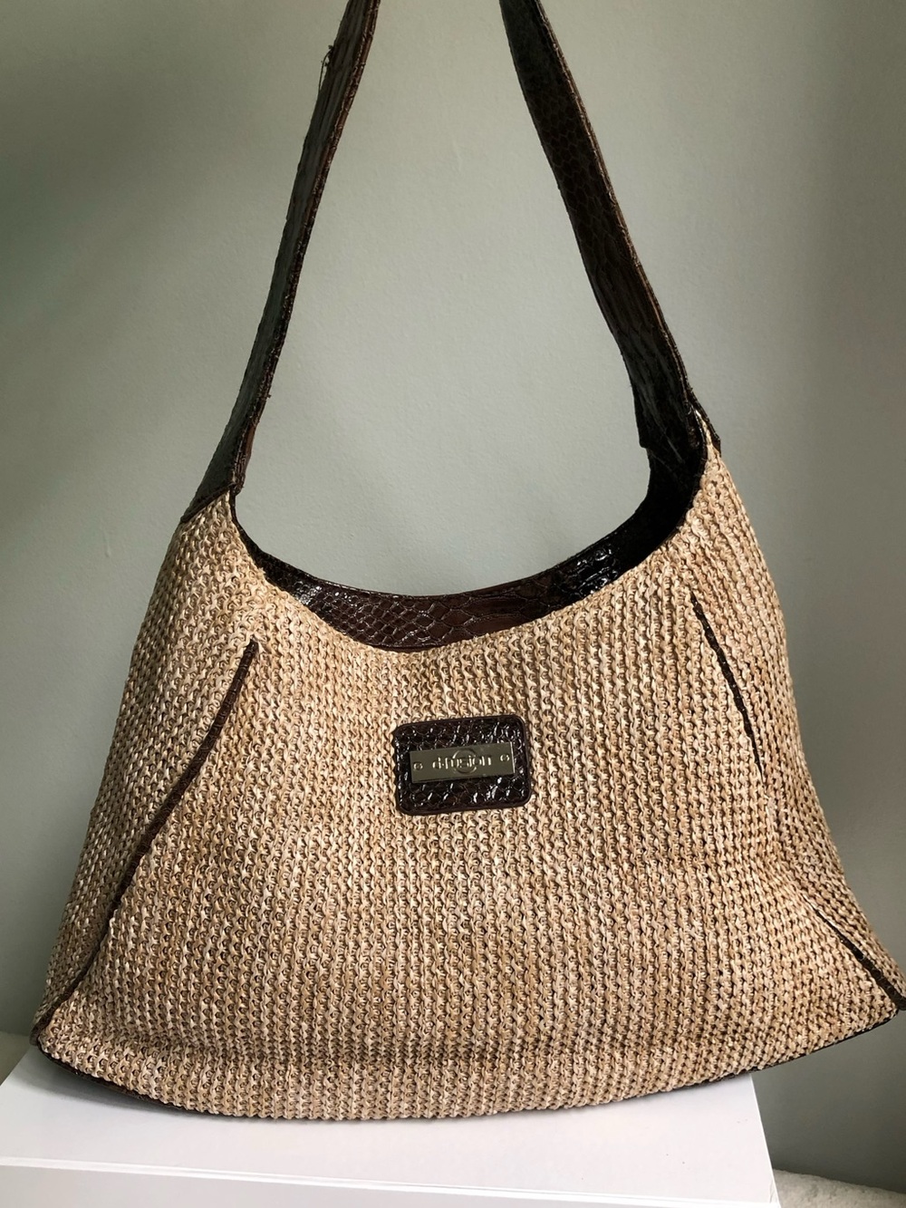 Woven Hobo Bag with Dark Brown Trim